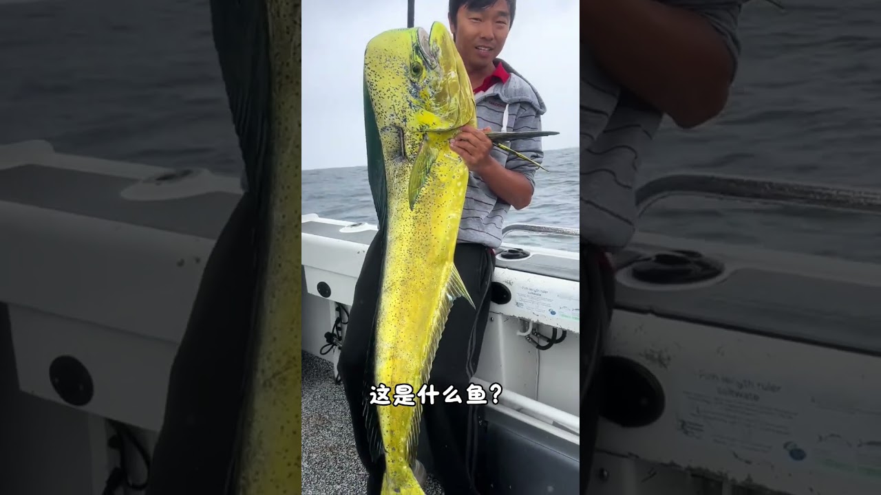 分享科普43種淡水魚和海魚，看看你認識幾種？ #淡水魚 #海魚 #魚