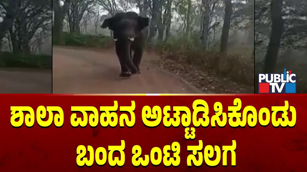 Wild Elephant Chases A School Van On Virajpet | Public TV