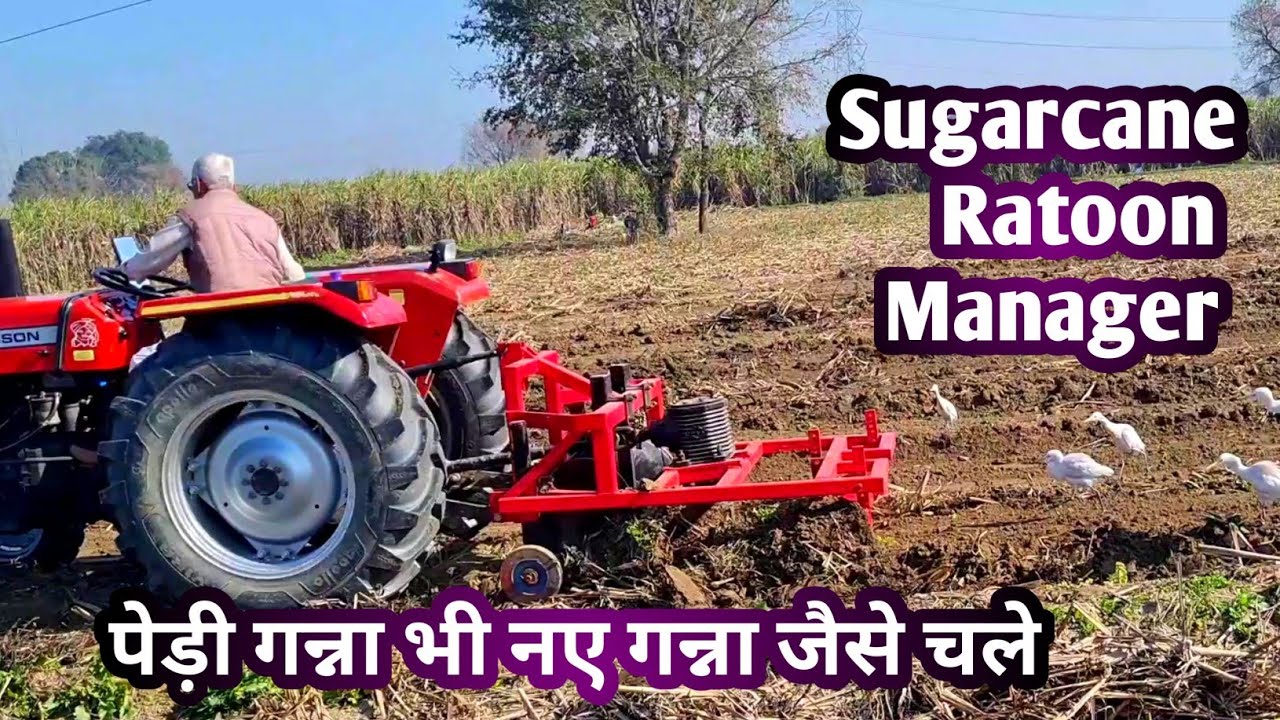 पेड़ी गन्ने के लिए गजब मशीन Sugarcane Ratoon Manager in organic farming at Kajla Natural Farm