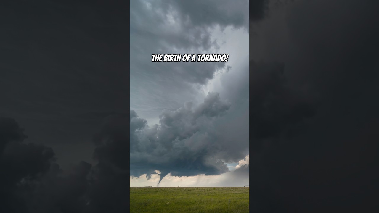 The Birth of a Tornado 🌪️ #timelapse #tornado #supercell
