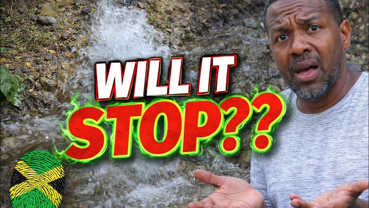 Вы не поверите… В туалете есть вода!