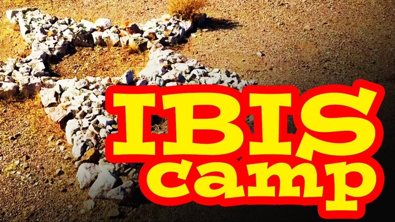 IBIS Camp