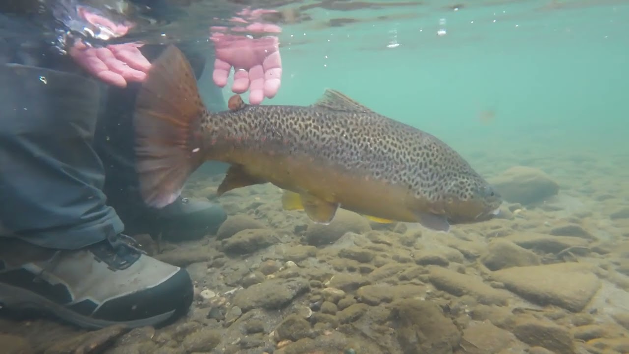 The best Ultralight Boot for fly fishing
