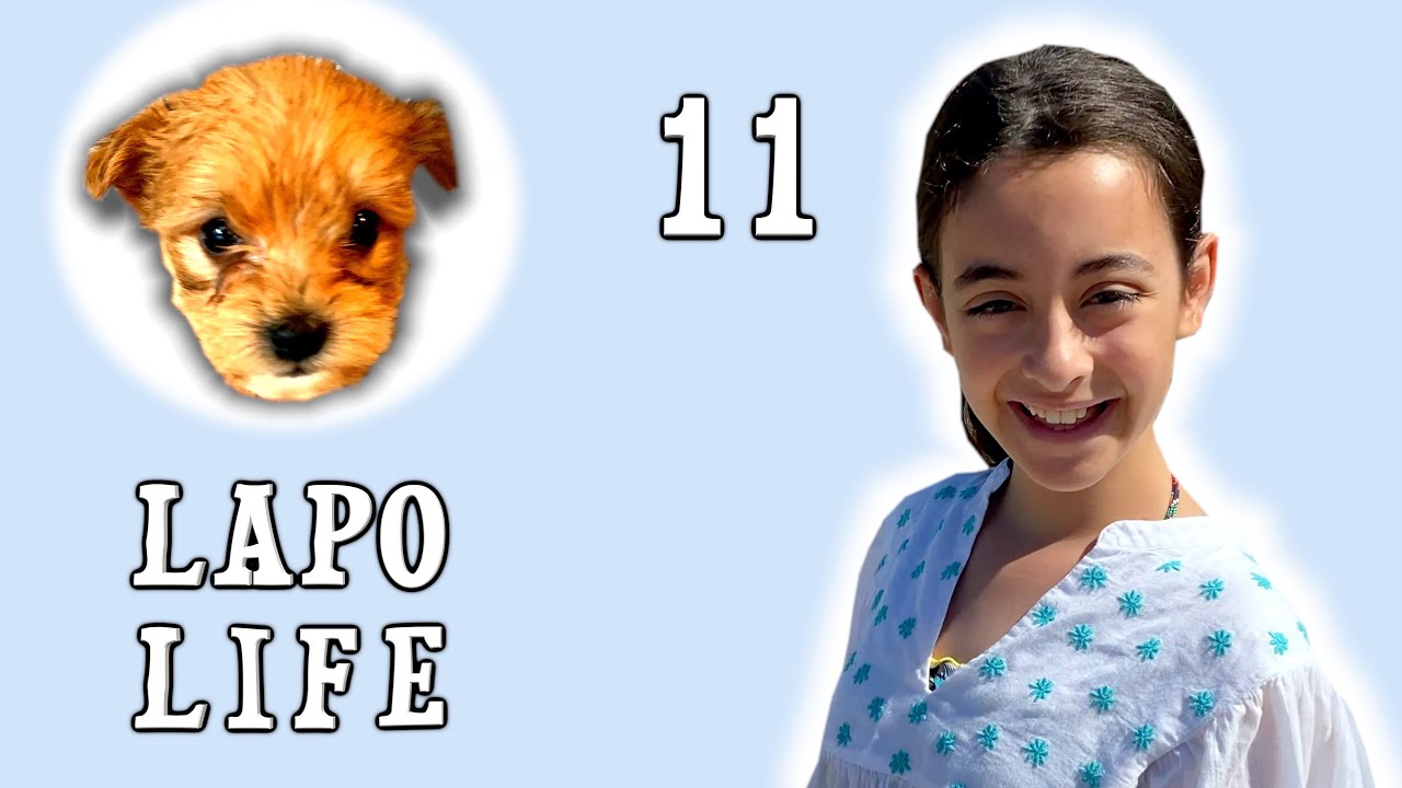 Lapo Life 11 - 🐶 - @SofiaDelBaldo  - la vacanza in Sardegna