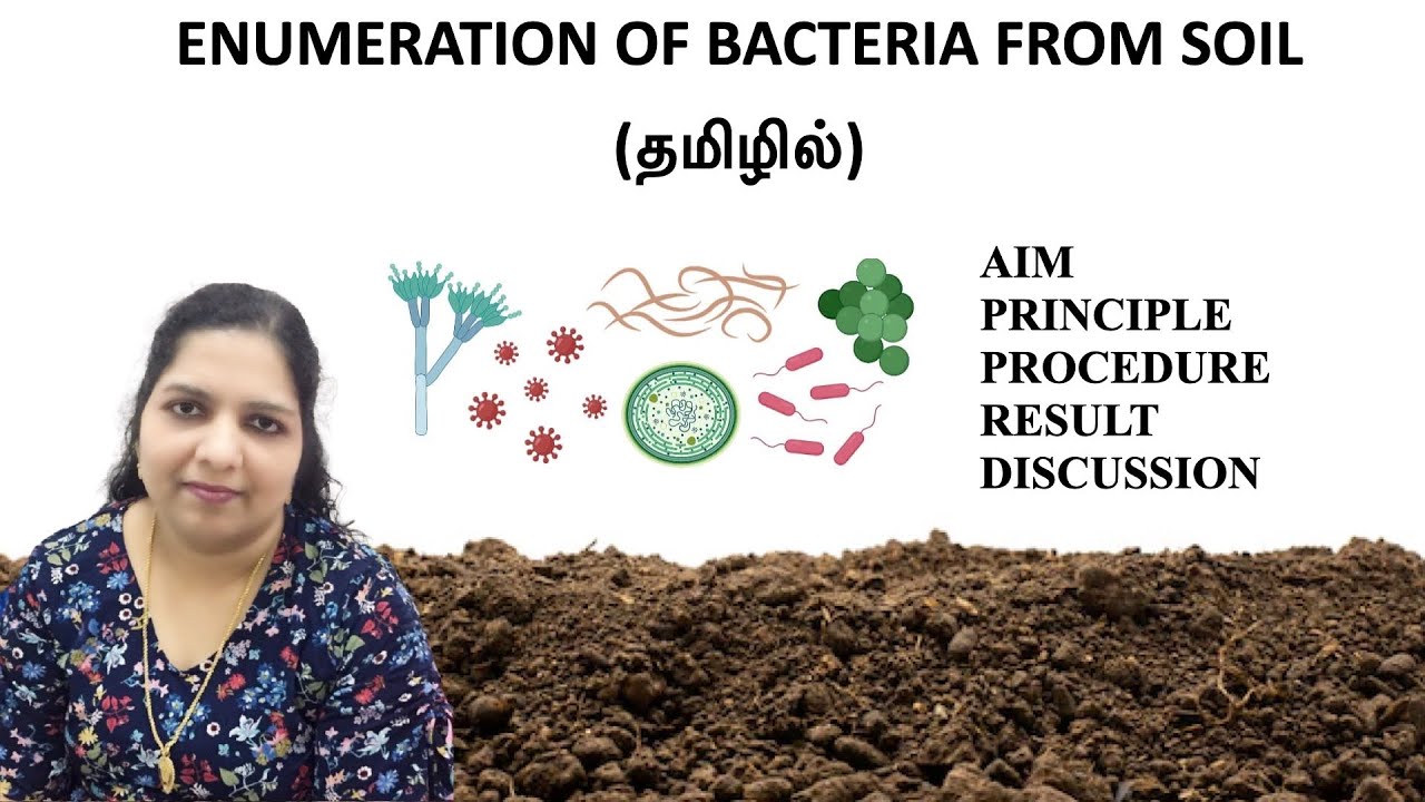 Enumeration of bacteria from soil /Aim, principle, procedure, results, discussion/ Dr. Blessy/Tamil