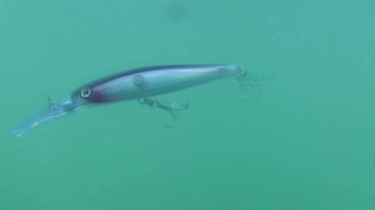 Rapala&reg; Clackin' Magnum