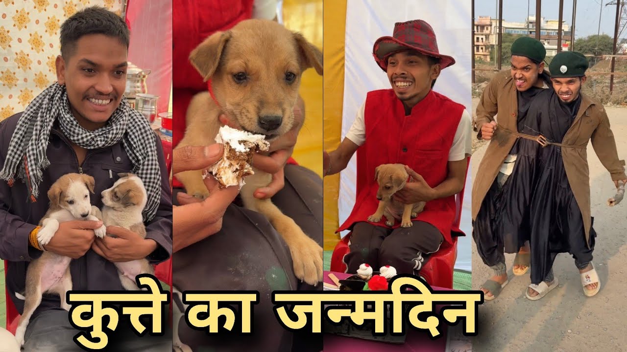 कुत्ते का जन्मदिन 😀 #youtubevideo #viral #video 