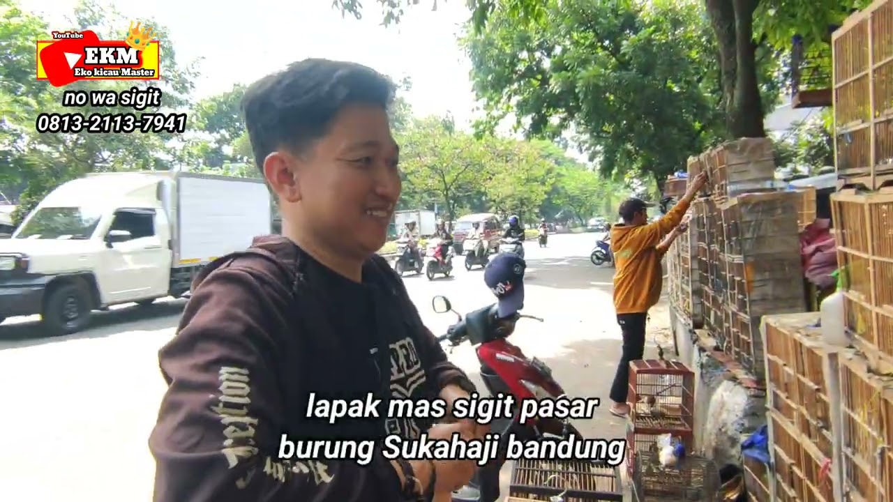PASAR SUKAHAJI BANDUNG ‼️ REVIEW STOK BURUNG OMBYOKAN DI LAPAK SIGIT SUKAHAJI 