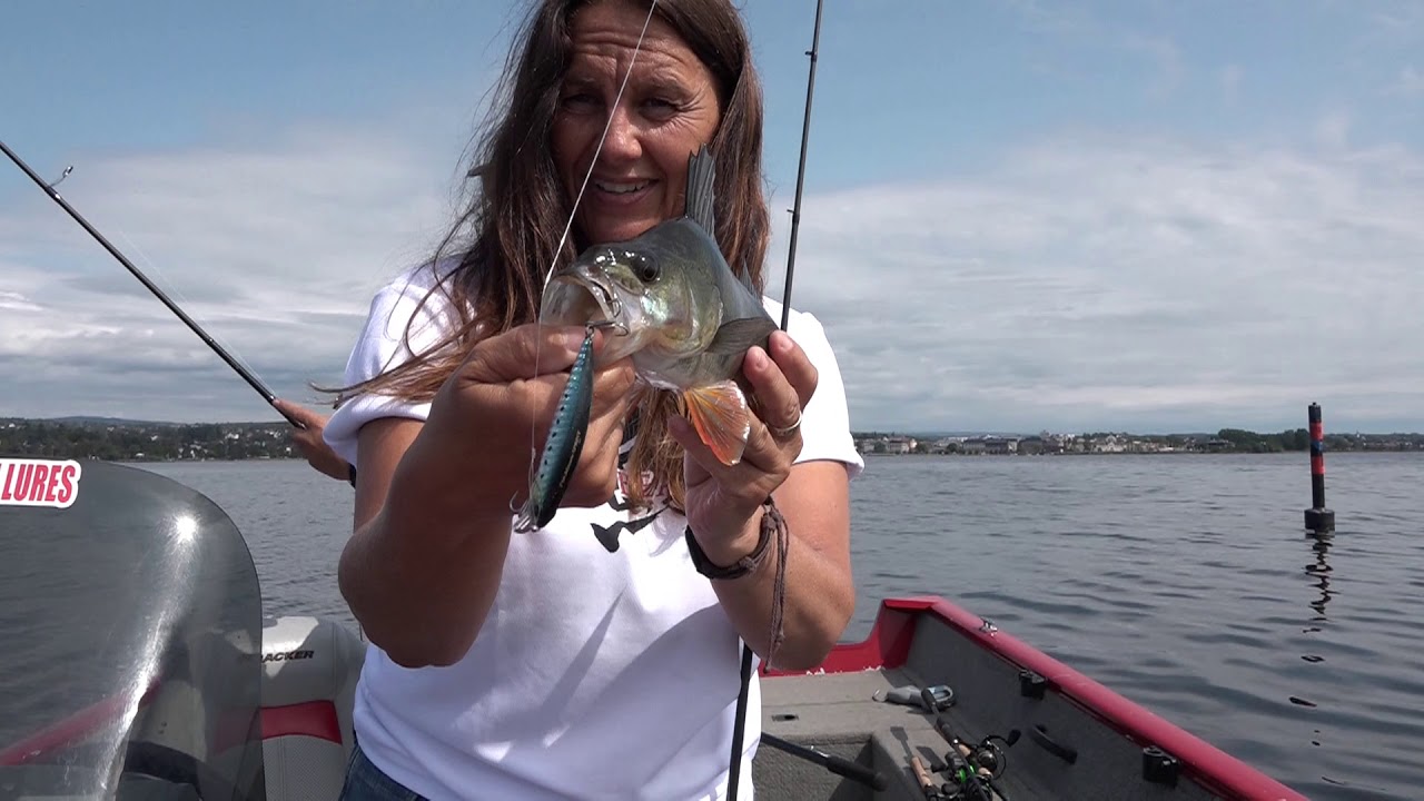 Abborfiske på Mjøsa søndag 14  juli 2019 Perchfishing at Mjøsa
