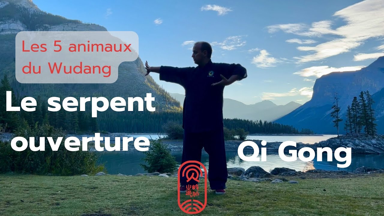 Serpent - 5 animaux du Wudang - ouverture