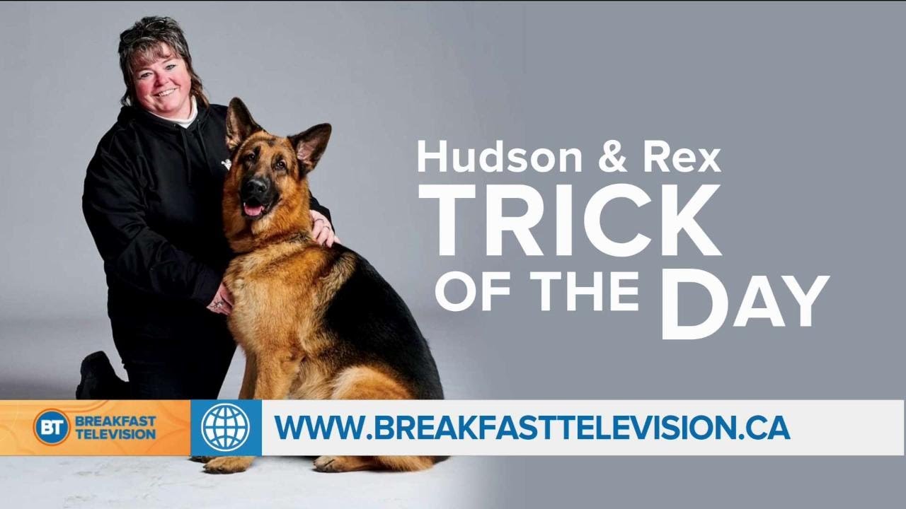 Hudson & Rex Trick of the Day!