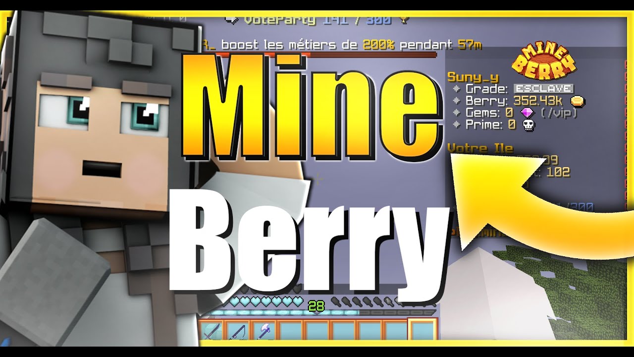 Meilleur serveur Minecraft OnePiece - MineBerry