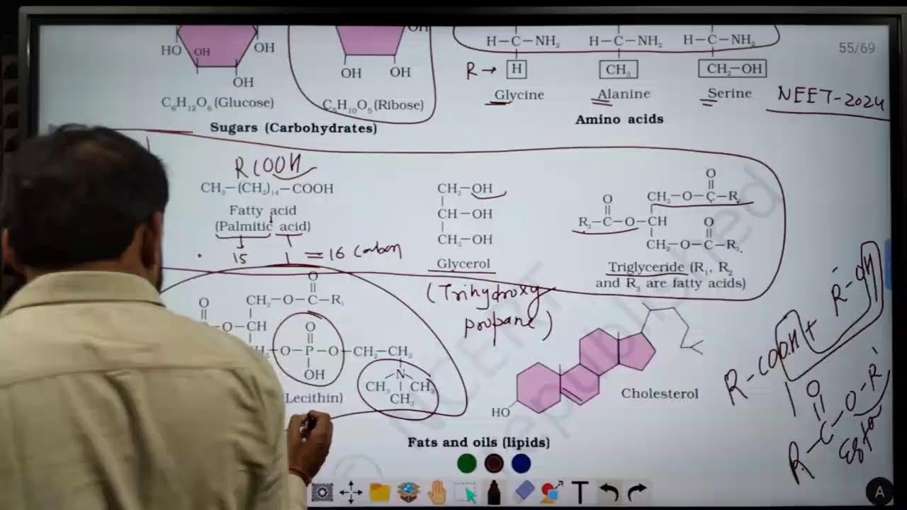 Biomolecules L-1, NCERT 