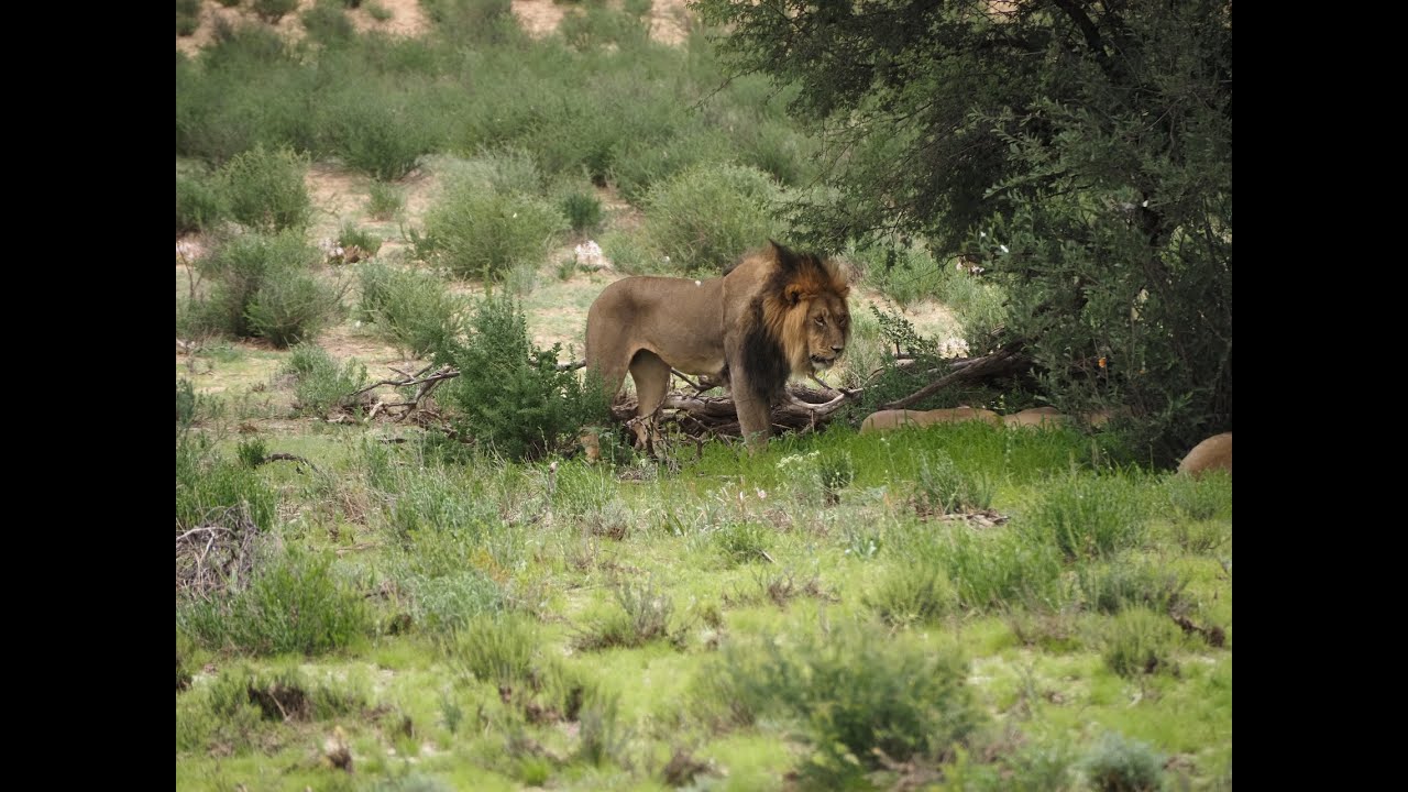 South Africa - Lesotho - Swaziland