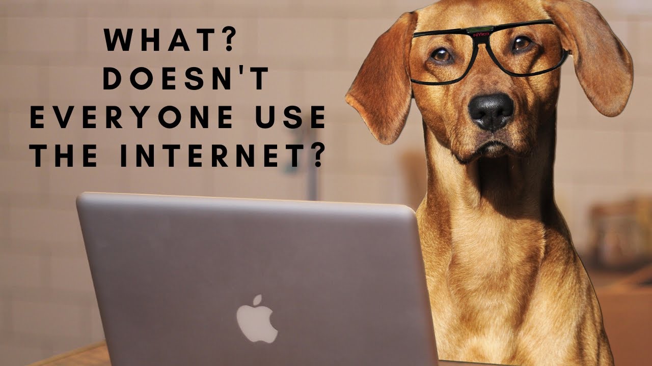 Why A Sense of Humor Is Important During Hard Times!