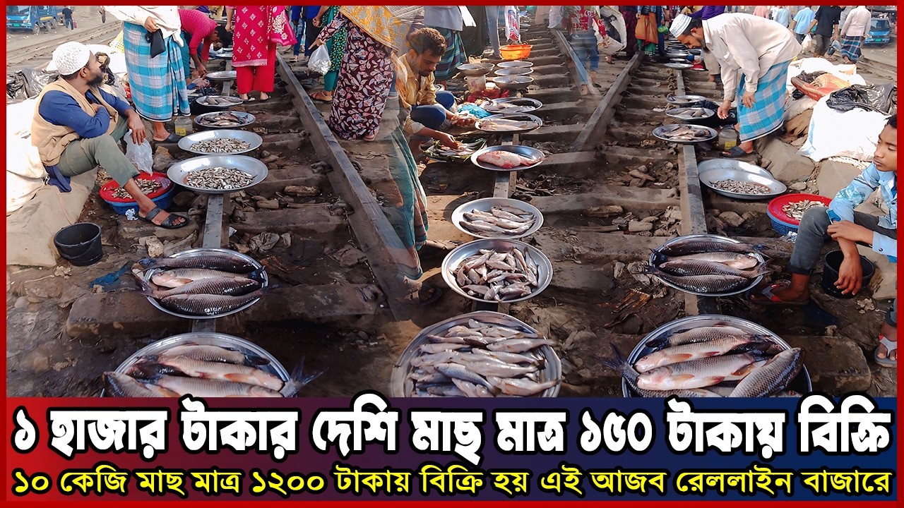 ১০০০ টাকার দেশী মাছ মাত্র ১৫০ টাকায় বিক্রি হয় এই রেললাইন বাজার। ||Fish Market vlog||