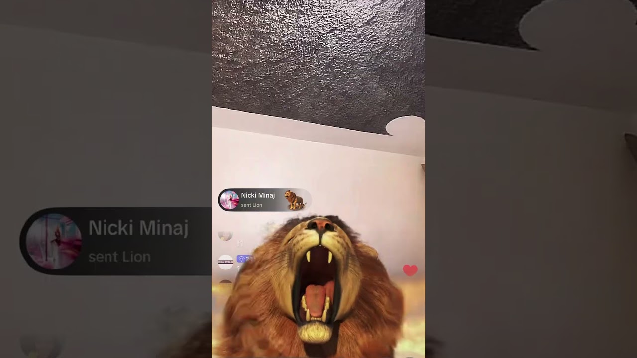 Shebada get 2 🦁 from nicki minaj plus talk tavi 