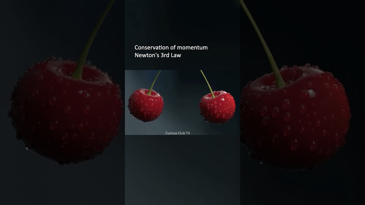 Why Momentum Is Always Conserved - Newton's Laws