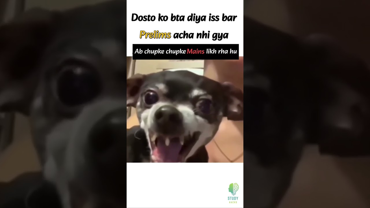 SBI PO Pre Exam Analysis 2025 💀| SBI PO Analysis 2025 | 