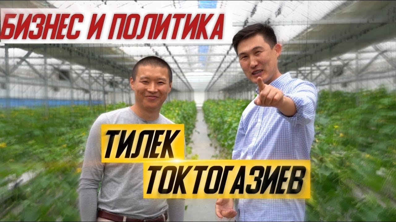 Тилек Токтогазиев. О бизнесе, политике и коррупции. Трудоустроим одного человека.