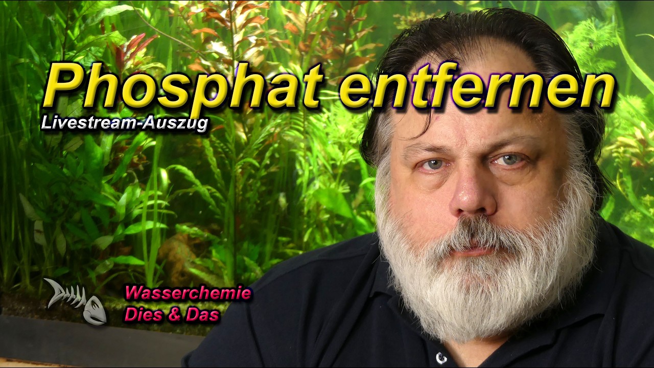PHOSPHAT MIT STAHLWOLLE ENTFERNEN - HOW TO