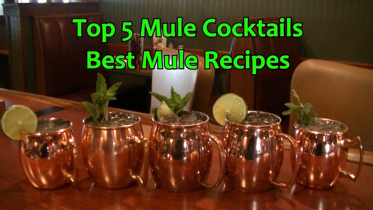 Top 5 Mule Cocktails Drinks Best Moscow Mule Recipes