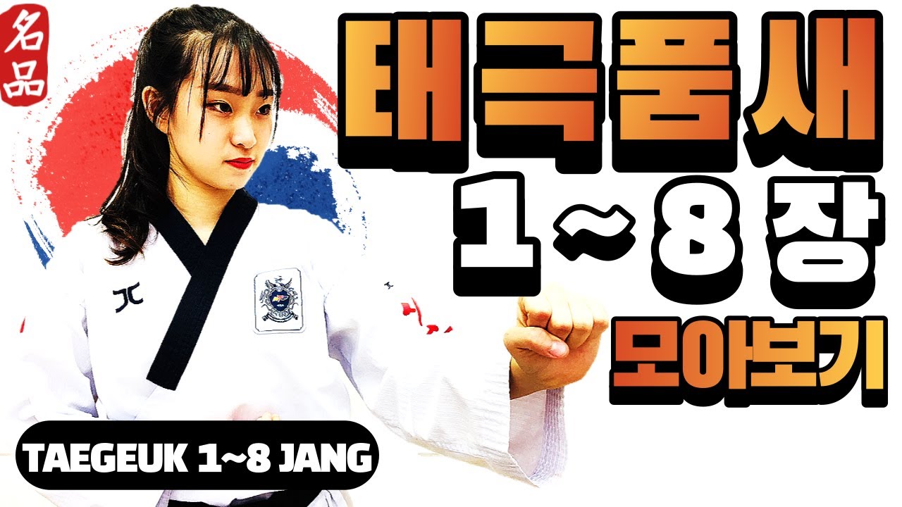 태권도 품새 태극 1-8장 연습은 이것만 보시면 됩니다 / Taegeuk1-8/ Step-by-Step, Slow Version with Front & Back Side Views