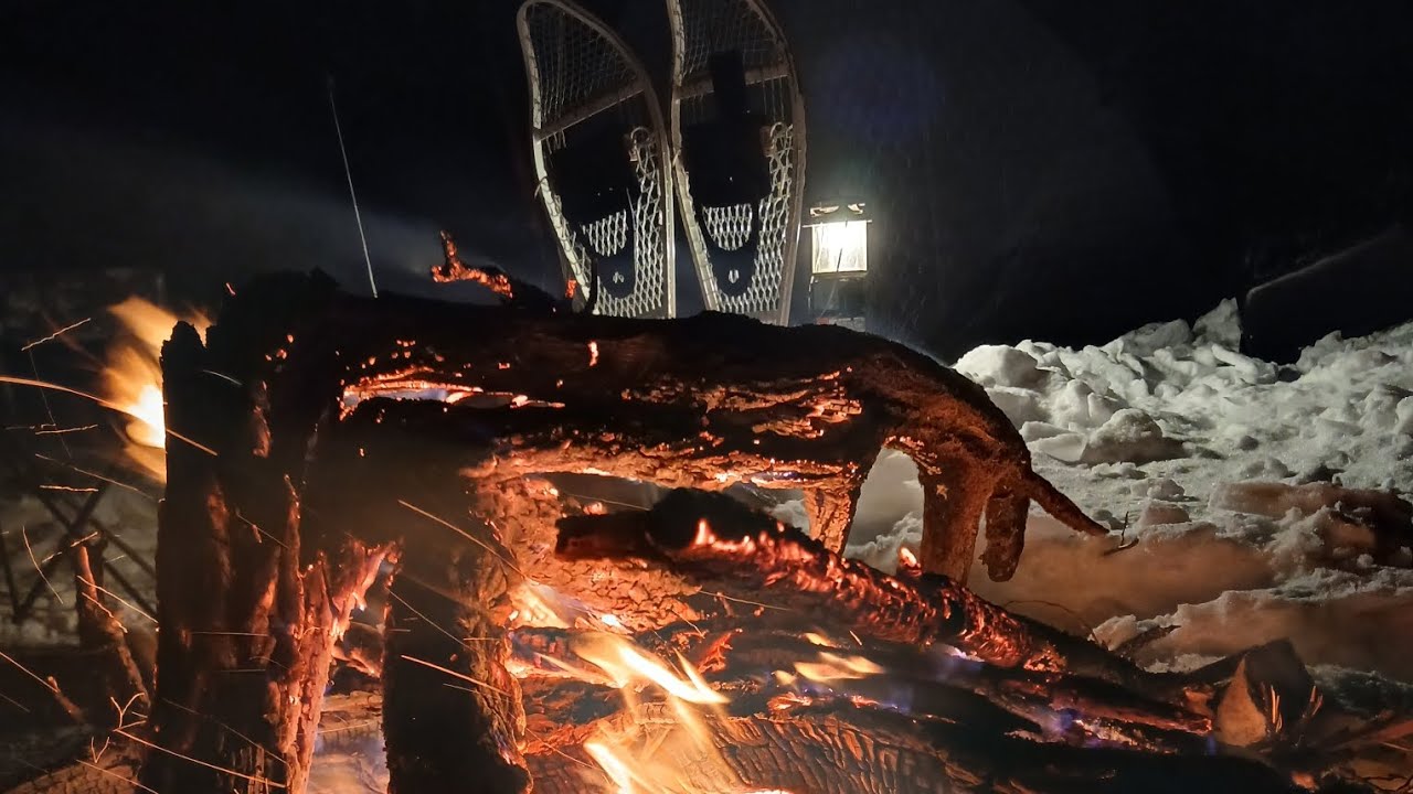 Solo Snow Camping & Earth Oven Cooking in the Chippewa National Forest |EP07|@SaunaStoned 