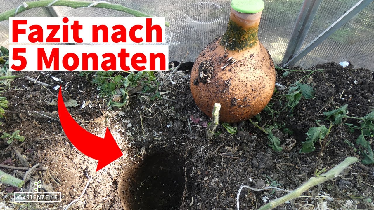 Olla von BioGreen - Hat sich der Kauf gelohnt? Fazit nach 5 Monaten