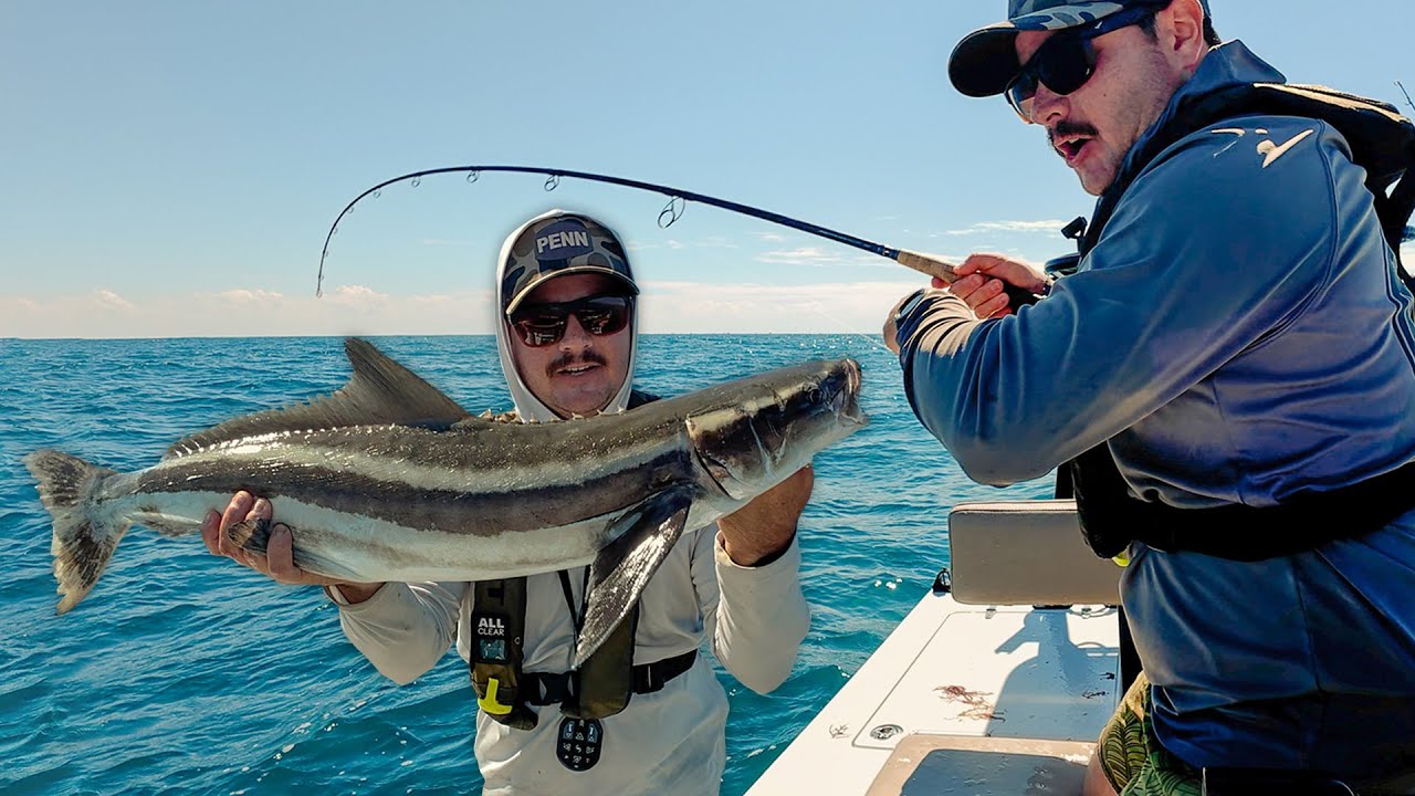 SOLO Offshore Fishing in a SKIFF | Kingfish, Cobia, Sharks