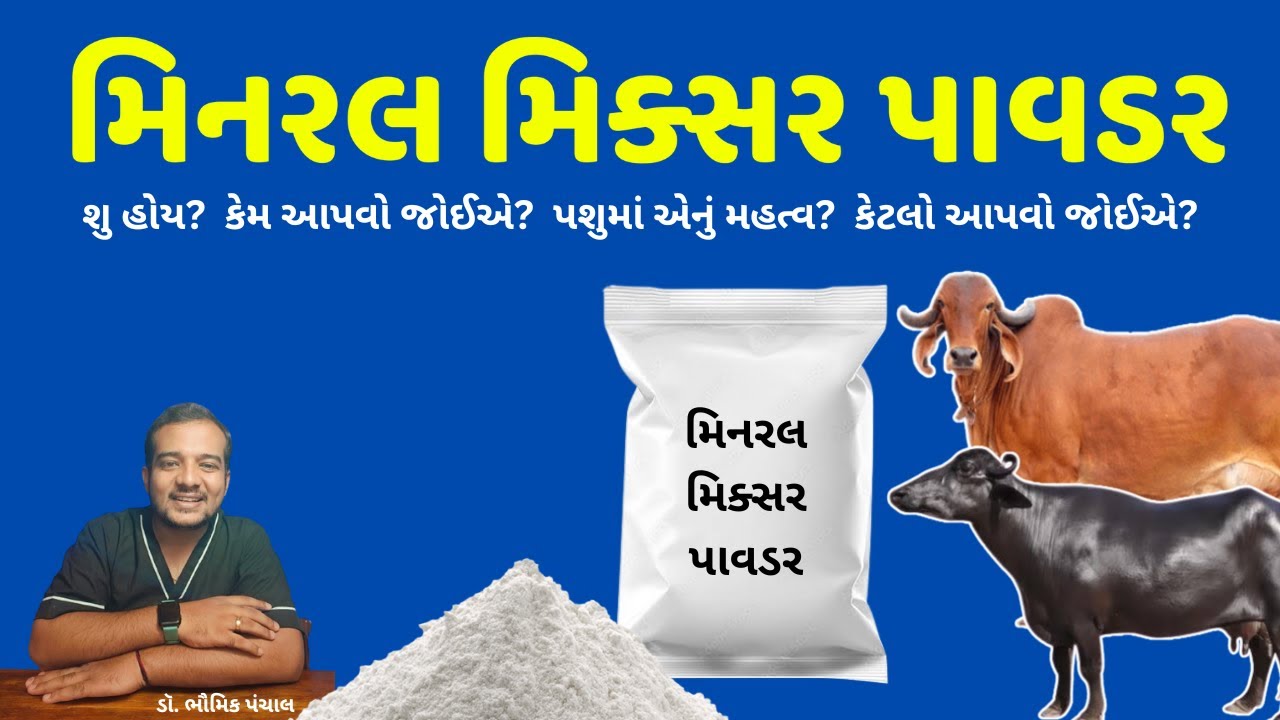 પશુઓમાં મિનરલ મિક્સર નું મહત્વ | Importance of Mineral Mixture Powder in Cow and Buffalo