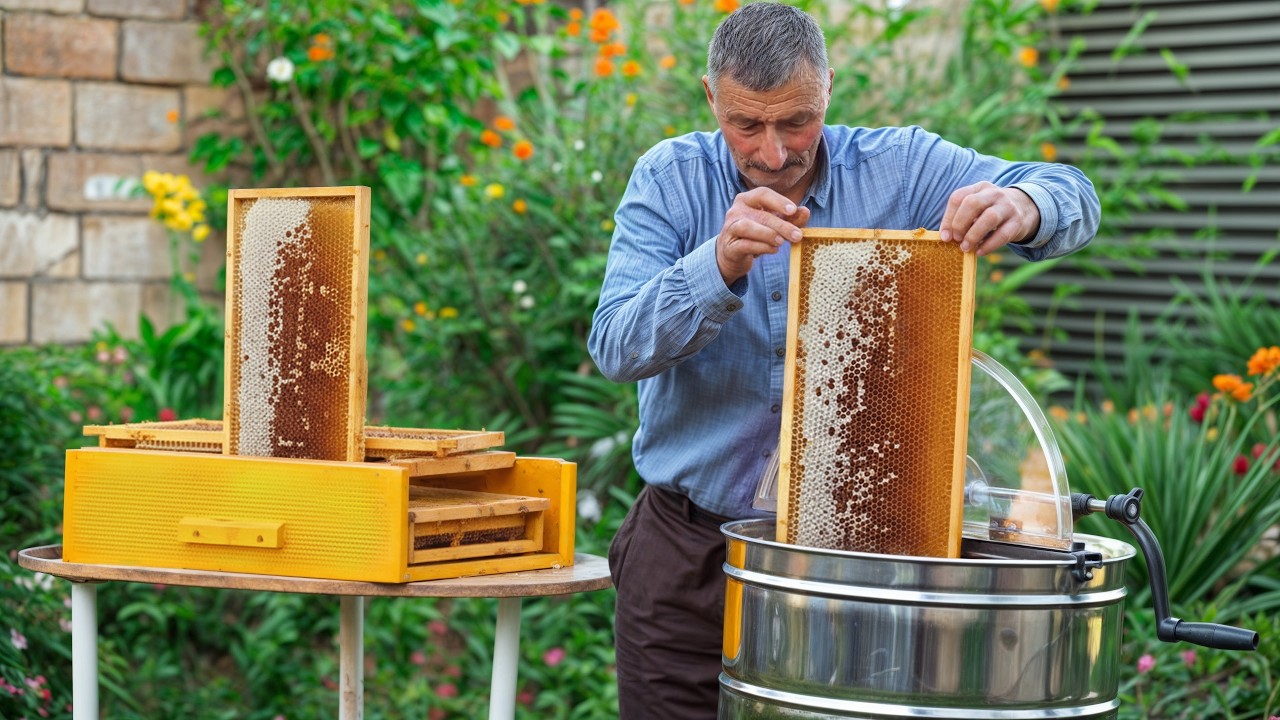 Delicious Homemade Honey Cake with Cream Layers