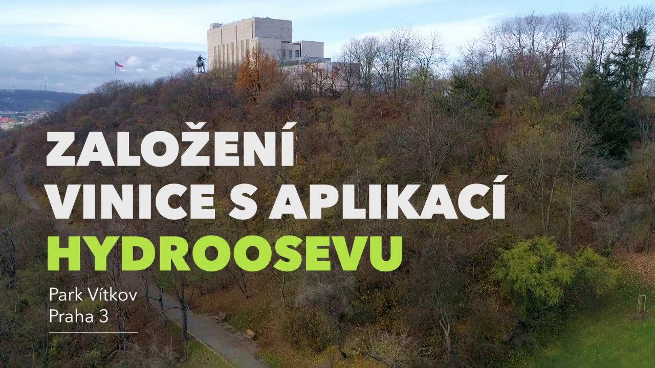 Založení vinice s aplikací hydroosevu na Vítkově