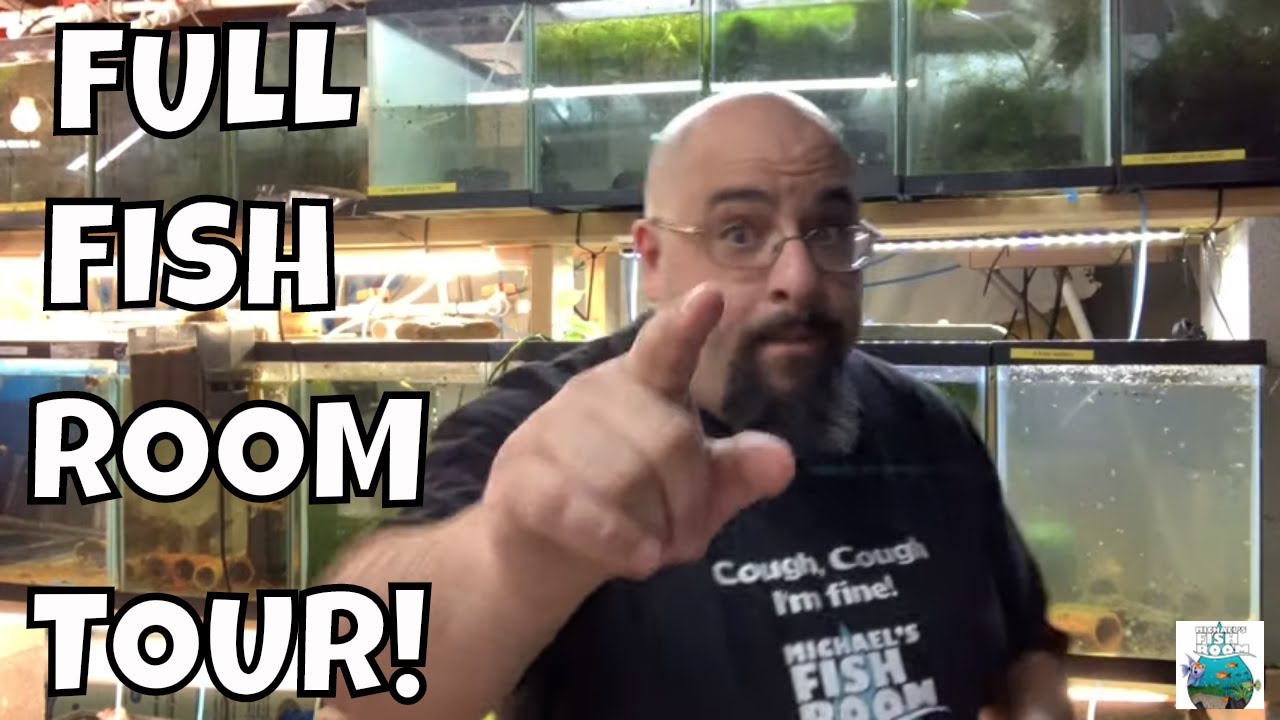 FULL FISH ROOM TOUR!