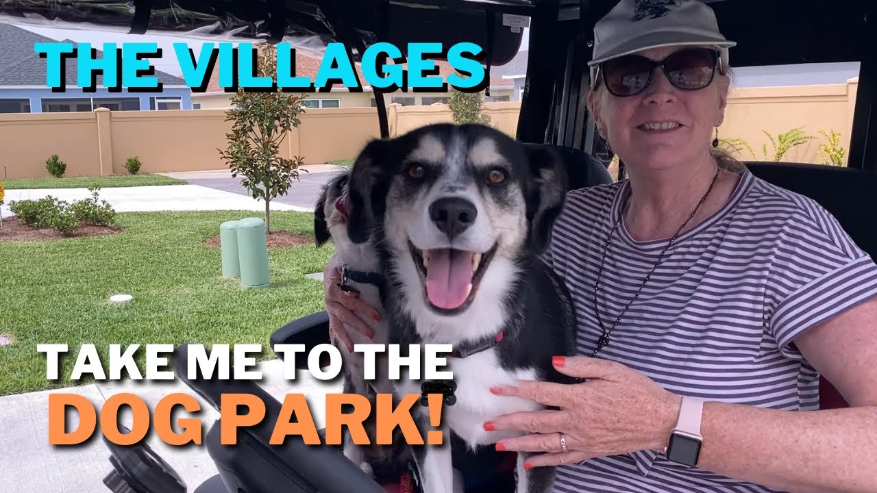 The Villages:  Visit the Dudley Dog Park