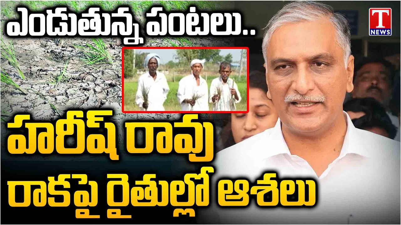 Special Report On Harish Rao To Visit Devadula Project Over Congress Govt Negligence | T News