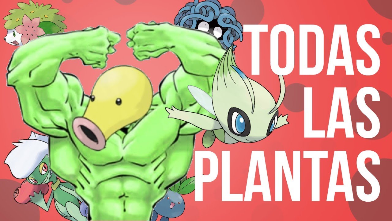 ¿Qué tipo de plantas son los Pokémon?