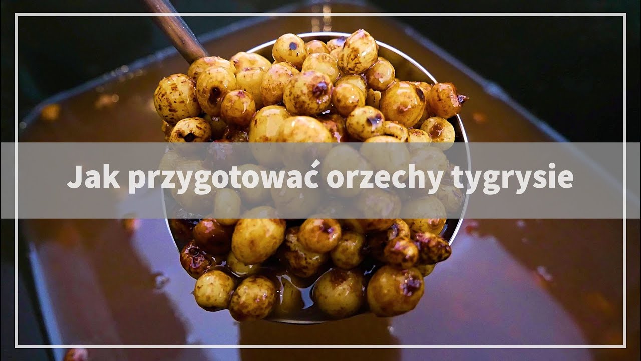 #2 Jak przygotować ORZECHY TYGRYSIE / PORADNIK KARPIARZA