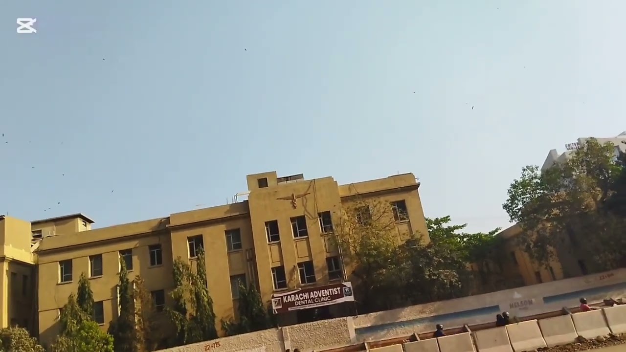 Future root of green Bus