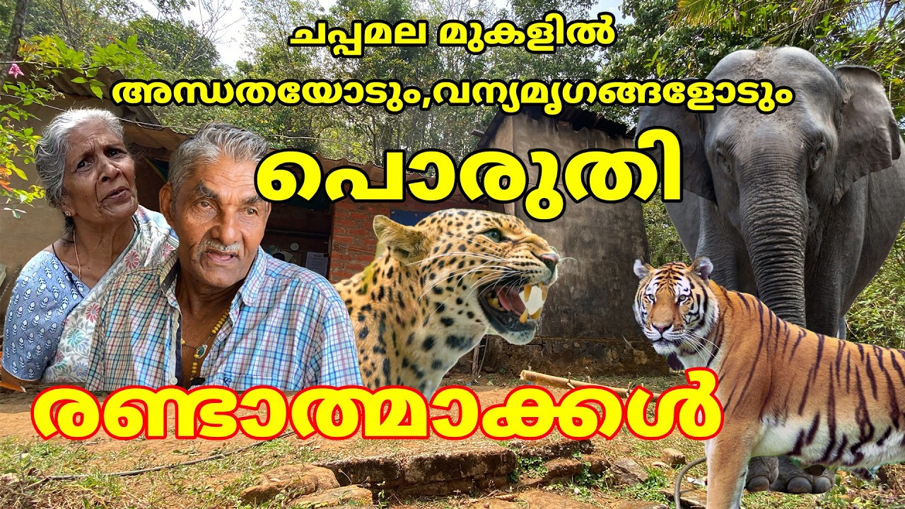 ഇരുട്ടിനോടും വന്യമൃഗങ്ങളോടും പോരാടി ചാപ്പമലയിലെ രണ്ടാത്മാക്കൾ #elephant #forest #kannur #kottiyoor