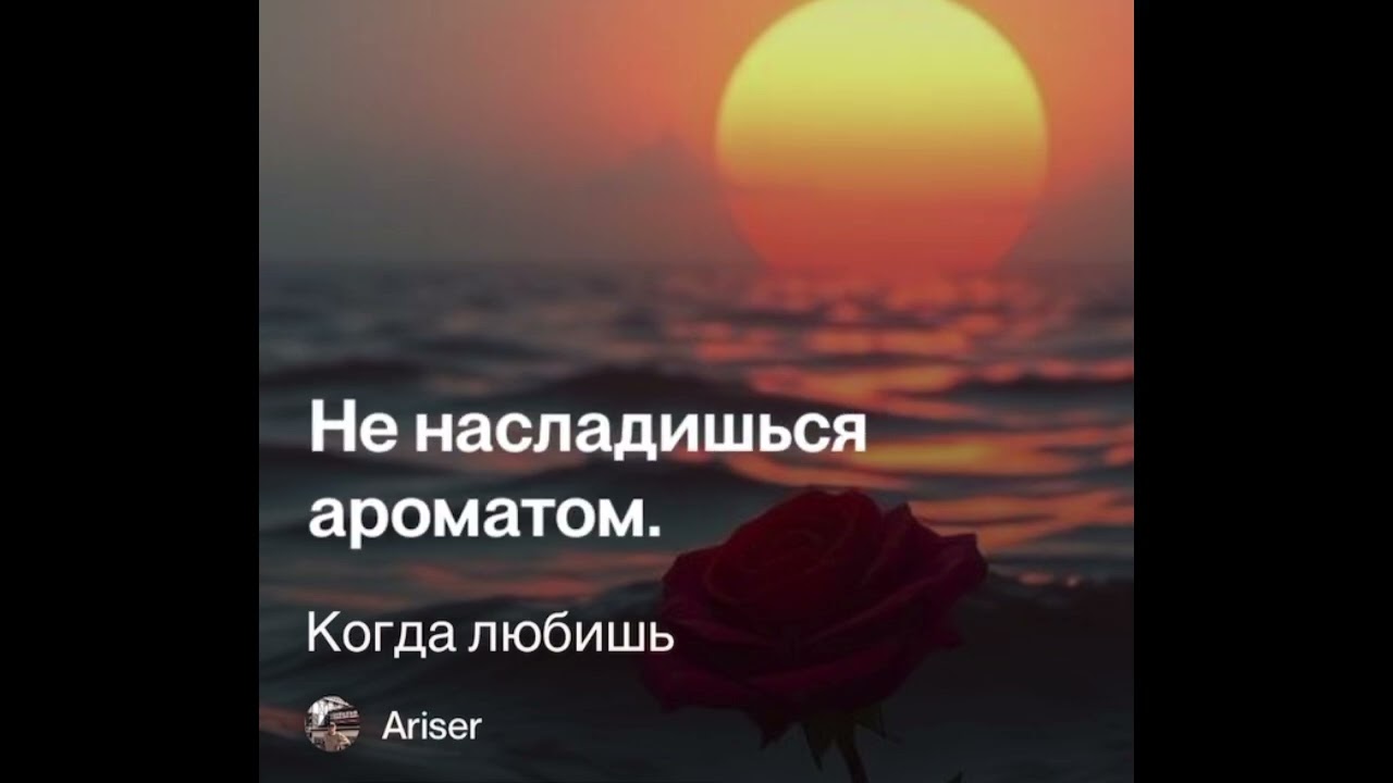 Когда любишь. Песня 2026 - Ari Ser