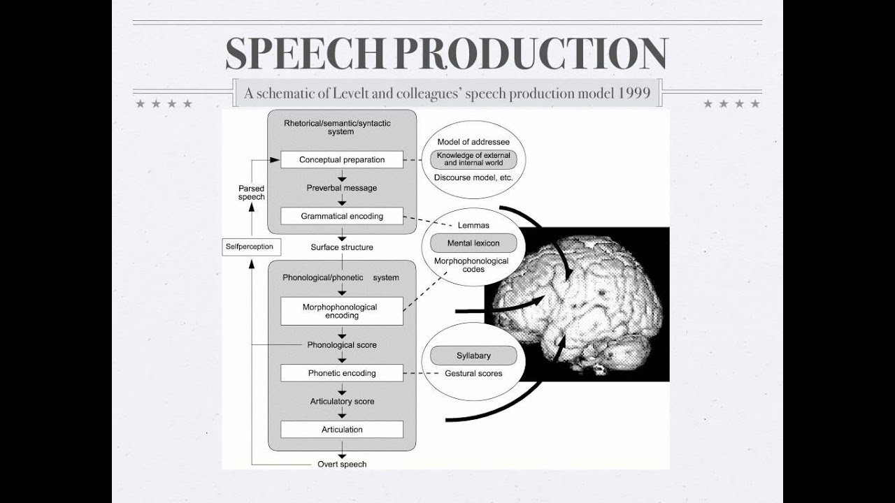 Psycholinguistics: Speech Production