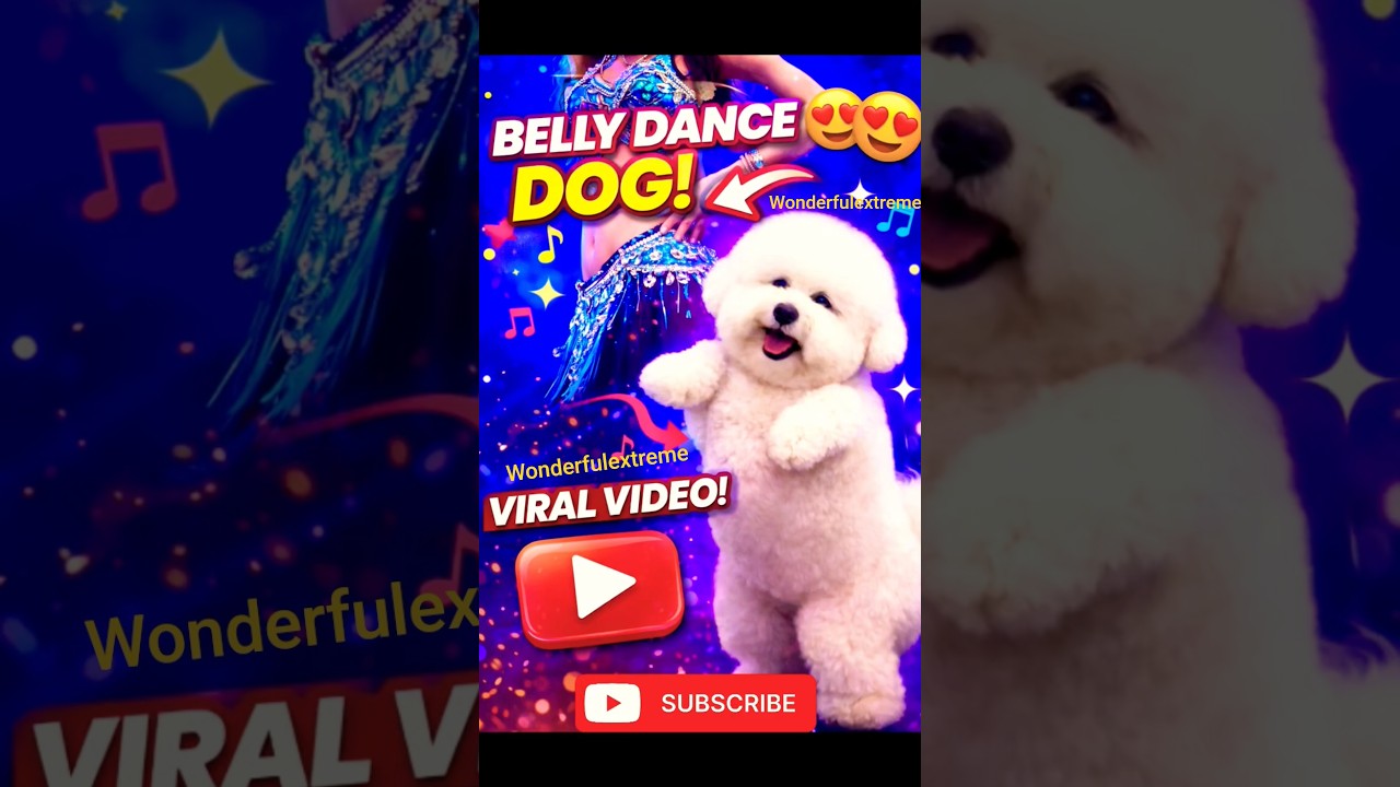 Viral Dog Belly Dance 😍 Cutest Dance Ever | Funny Dog Shorts #bellylaughs #cutepup #puppy #shorts
