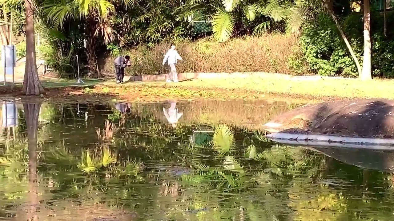 台中太平苗圃·落羽松秘境｜倒映在水池的畫面，是攝影師、網美們爭相拍攝的場景…