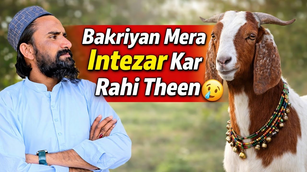 “Bakriyan Mera Intezar Karti Rahin 😢 | Aaj Main Bohat Dair Se Aaya|Daily Asad