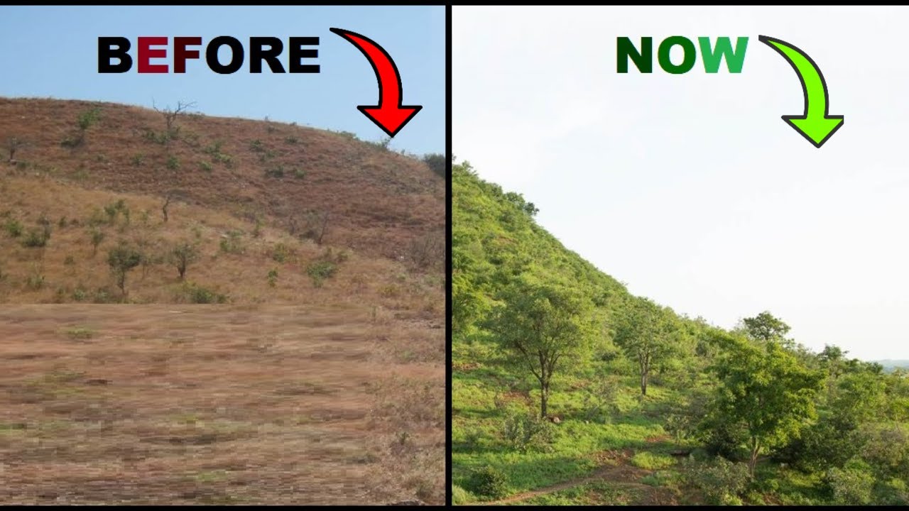 WOW!. SAHARA DESERT IS TURNING INTO A FARMLAND OASIS, WITH FMNR METHOD.