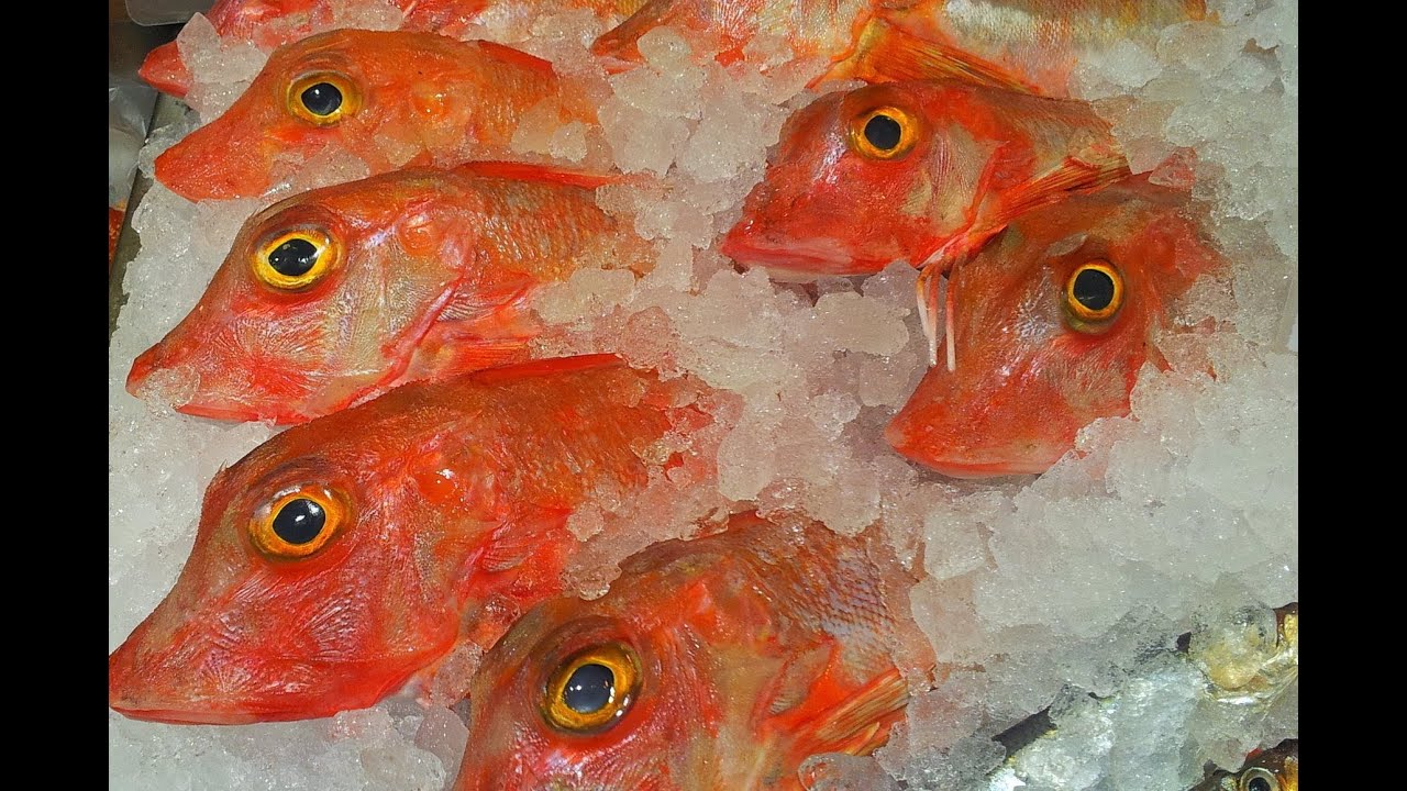 Fishmongers Counter Display.no.5. Thescottreaproject.