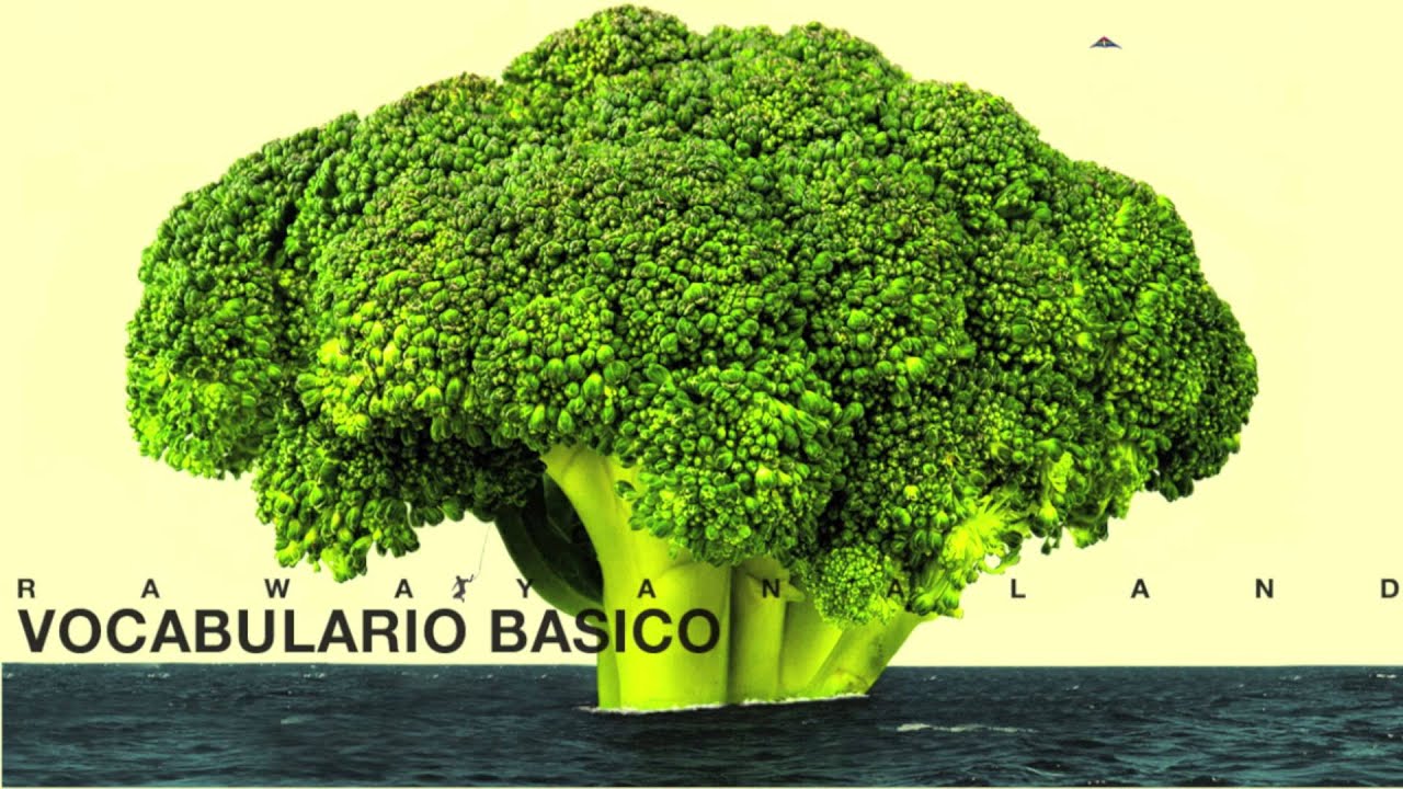 Vocabulario B&aacute;sico