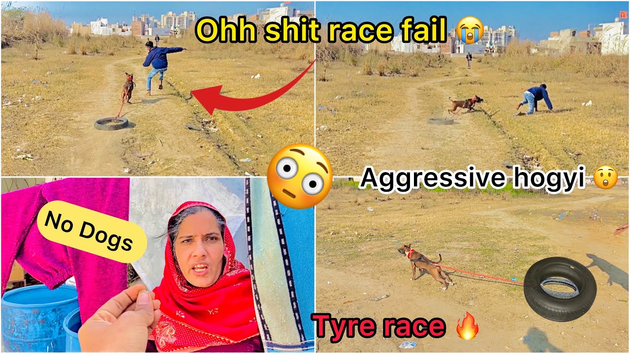 Roxy ( bully ) ki tyre 🛞 race krwai ( Mummy gussa hogyi dogs ko lekar 😞