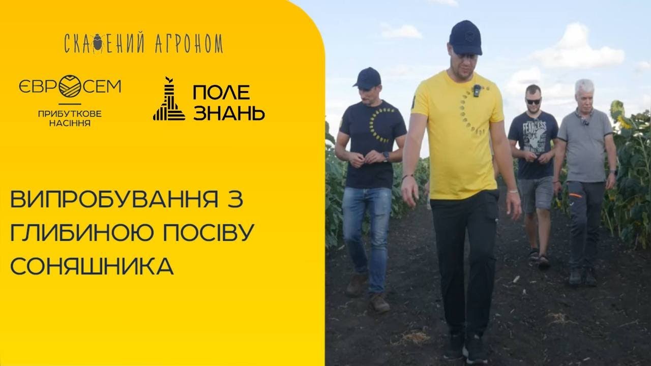 🌻 Глибина посіву соняшнику: результати випробувань на Полі Знань 🌱